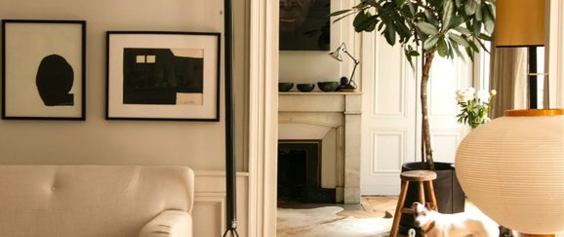 Intérieur d’appartement ancien avec cheminée en marbre, ficus, œuvres encadrées et chien allongé au sol